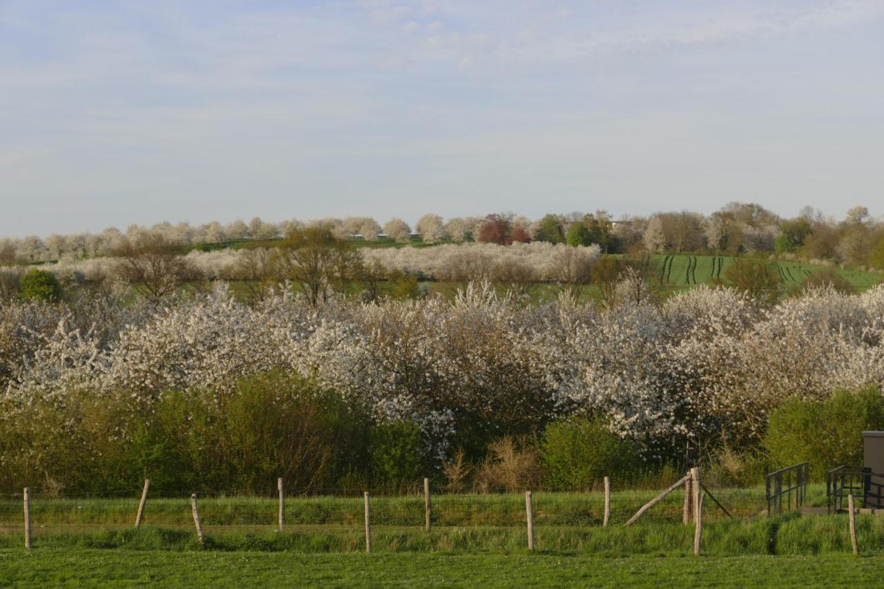 Meschermolen 2 Eijsden Kültér fotó