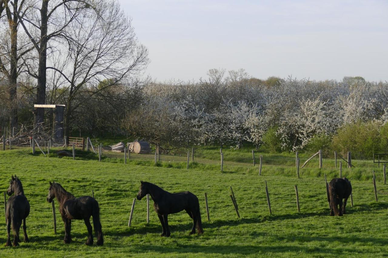 Meschermolen 2 Eijsden Kültér fotó